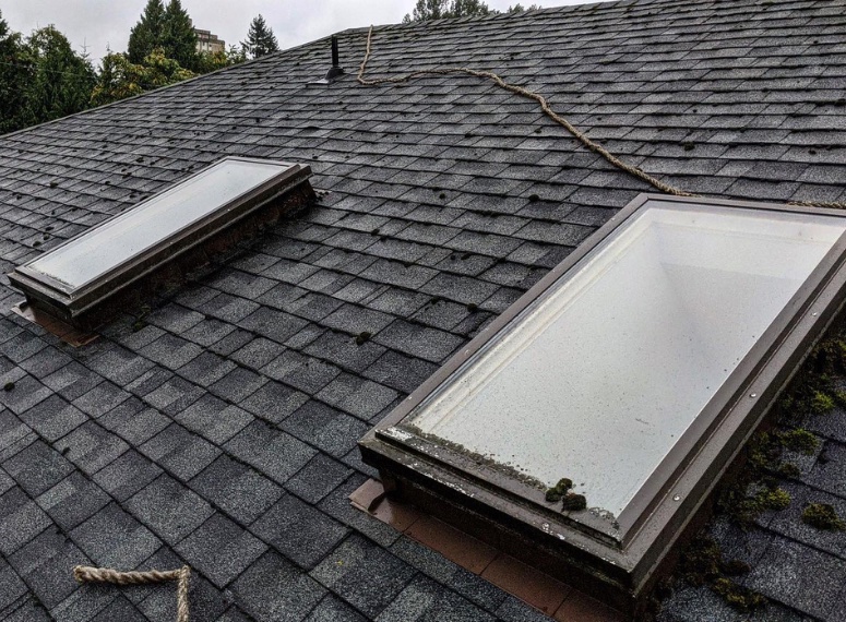 Shack Shine Skylight Cleaning Before