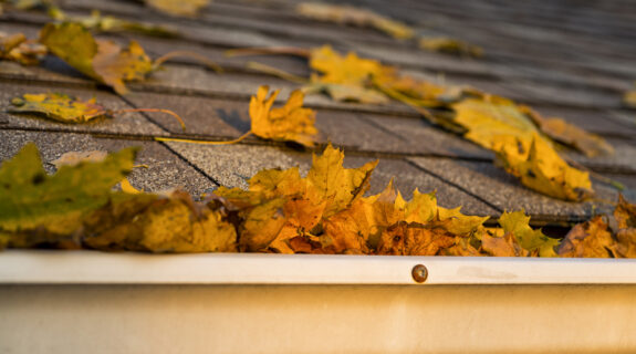 Autumn Leaves in the Gutter on a shingled roof of a house